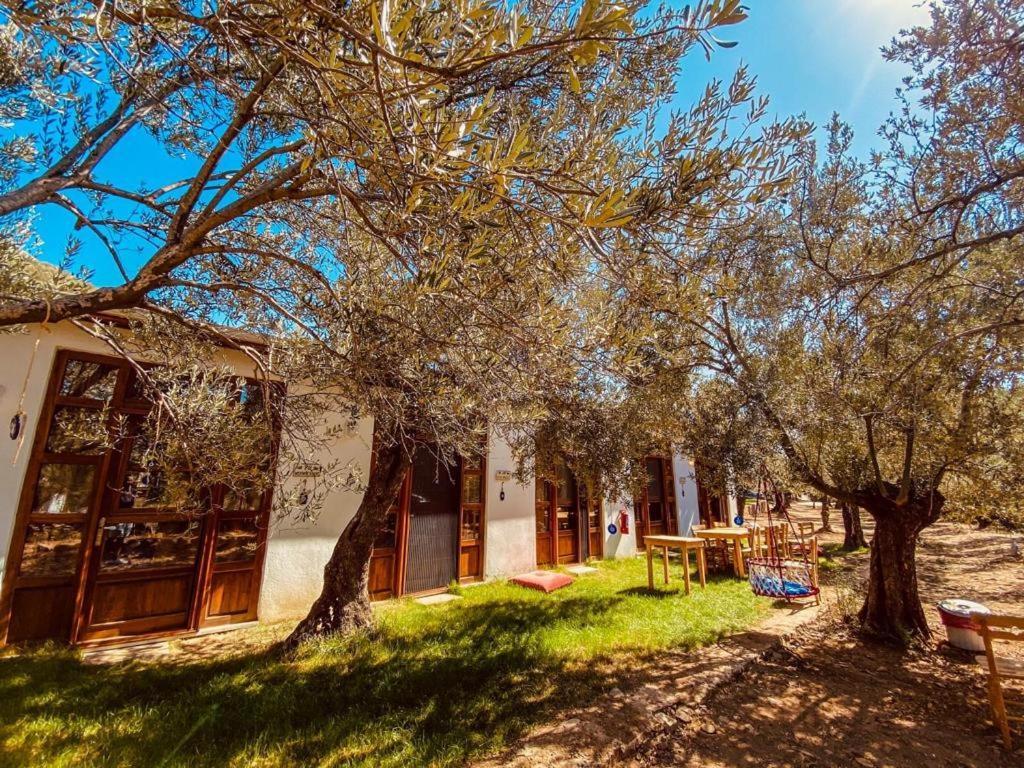 Yiva Kazdaglari Hotel Mehmetalani Exterior foto